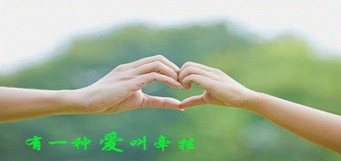 d29d722f0d740c505914d5dee97820d